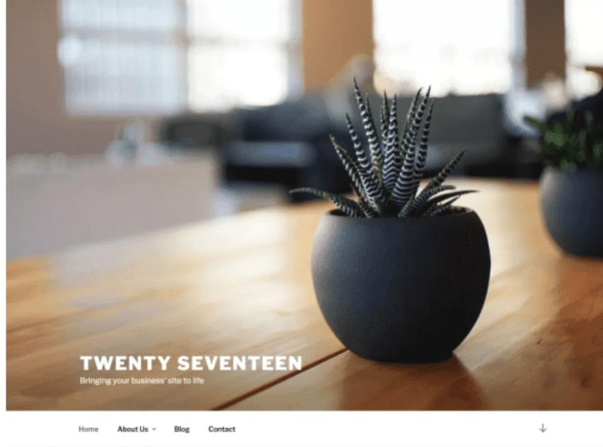 Theme website wordpress miễn phí Twenty Seventeen