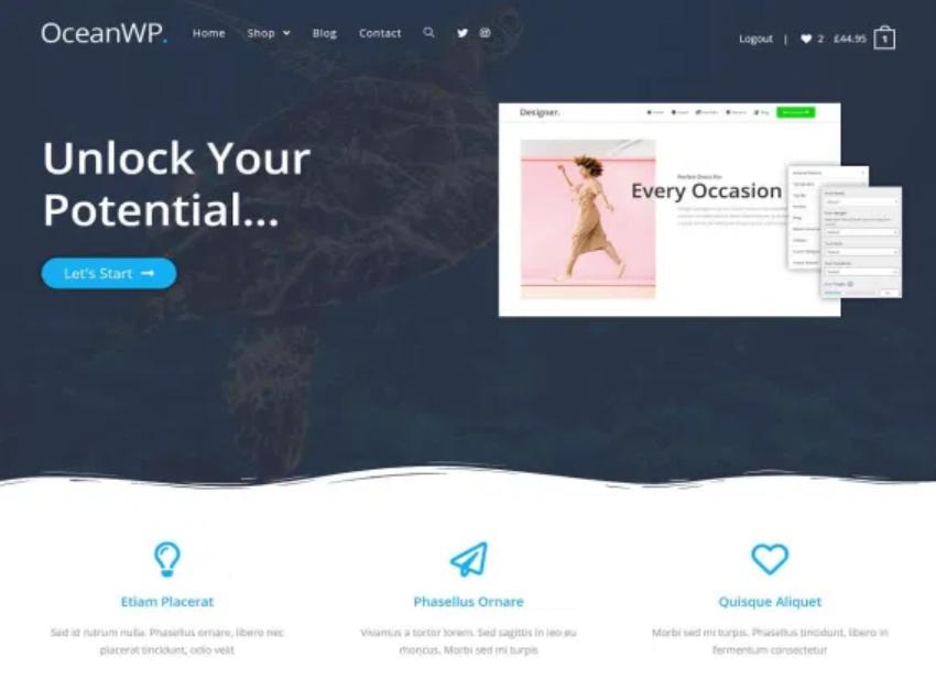 Theme wordpress OceanWP