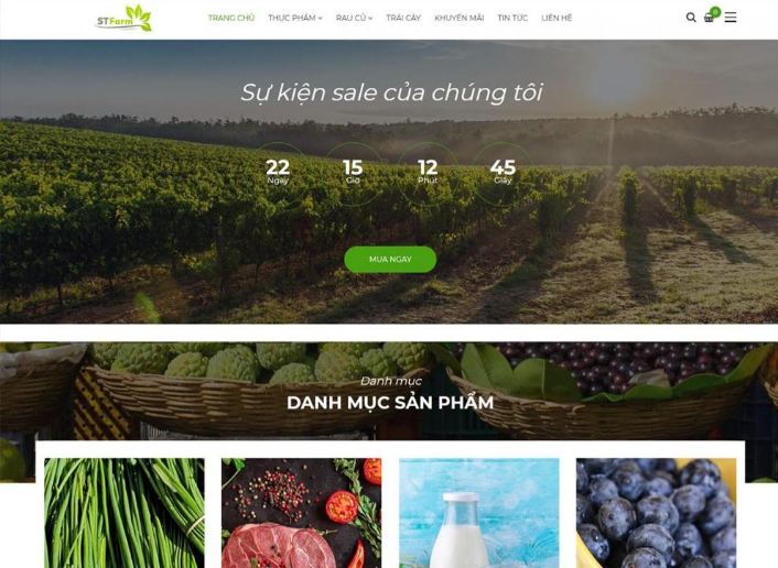 Các bước thiết kế website thực phẩm dinh dưỡng