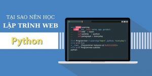 Python là gì? Tại sao bạn nên học lập trình web với Python?