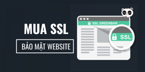 Mona Media - Công ty đăng ký chứng chỉ SSL uy tín, giá rẻ