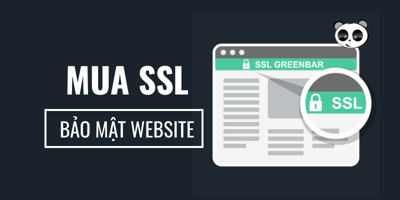 Mona Media - Công ty đăng ký chứng chỉ SSL uy tín, giá rẻ