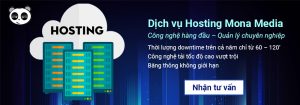 Nhận tư vấn dịch vụ hosting tại Mona Media