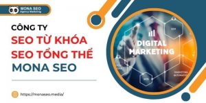 Dịch vụ SEO tổng thể website - Mona SEO