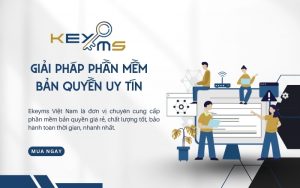 ekeyms cung cấp phần mềm bản quyền