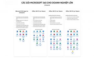 Microsoft 365 Enterprise
